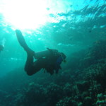 DCIM100GOPRO